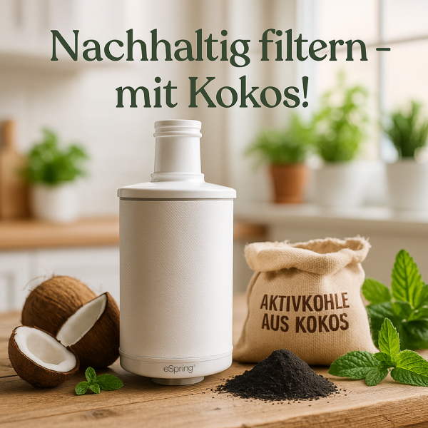 Nachhaltige-Filterung-mit-Kokosnuss