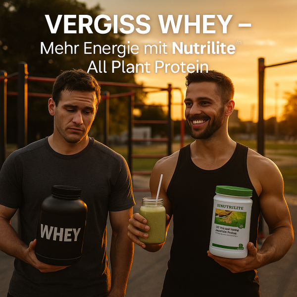 Energie-im-Sonnenuntergang