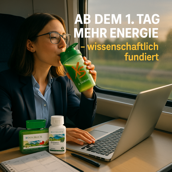 Mehr-Energie-im-Zug